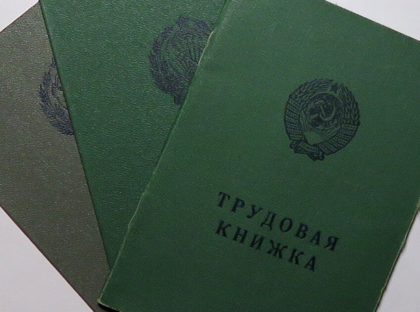 Две трудовые книжки. Трудовая книжка зеленая. Трудовая книжка зеленого цвета. Две трудовые книжки последствия. Можно ли иметь 2 трудовые книжки.