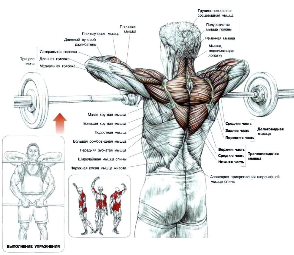 Тяга верхнего блока к груди, за голову, узким и широким хватом