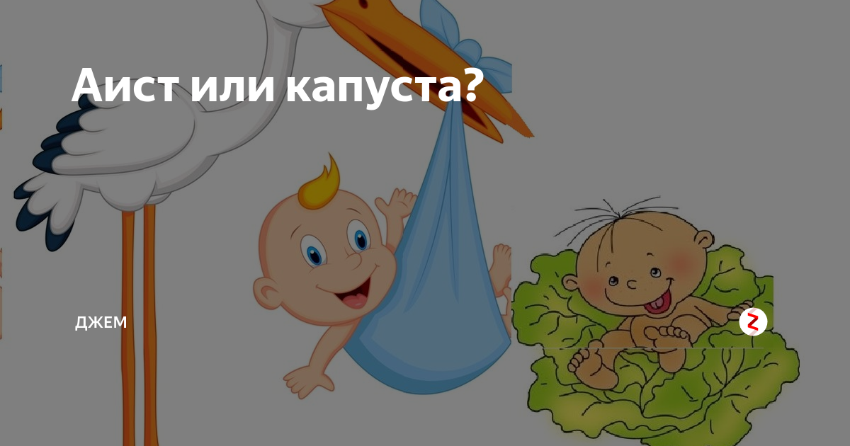 Откуда аисты приносят детей. Аист с ребенком. В капусте нашли Аист принес.