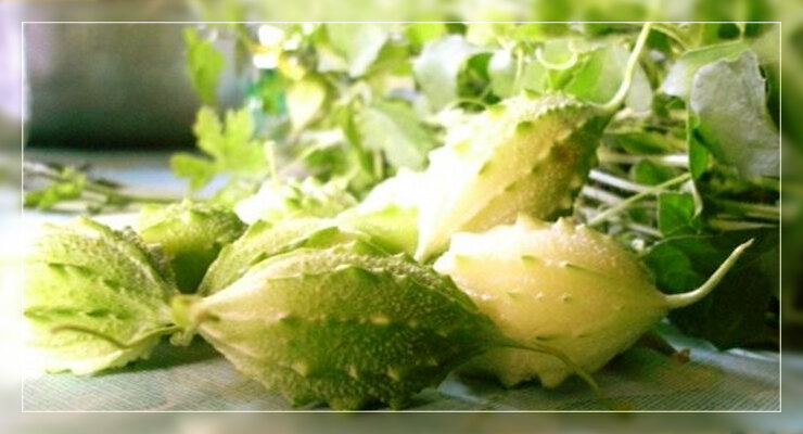 Момордика харантия (Momordica charantia)