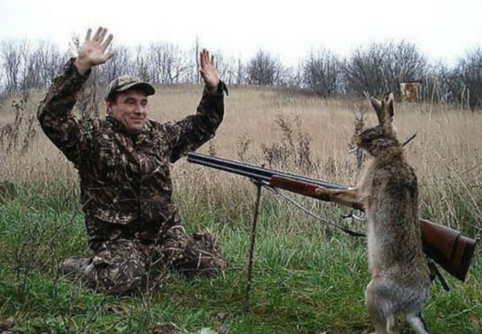 Фотография с сайта lzpress.ru 
