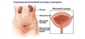 Ультразвуковое исследование пациентов с заболеваниями мочевого пузыря