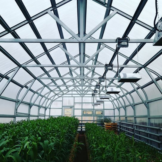 Вариант автоматизированный системы отопления теплицы