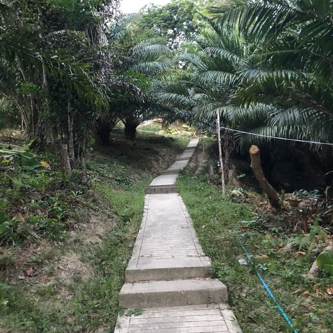 Платный пляж Фридом Пхукет - обитель спокойствия вблизи тусовок ...