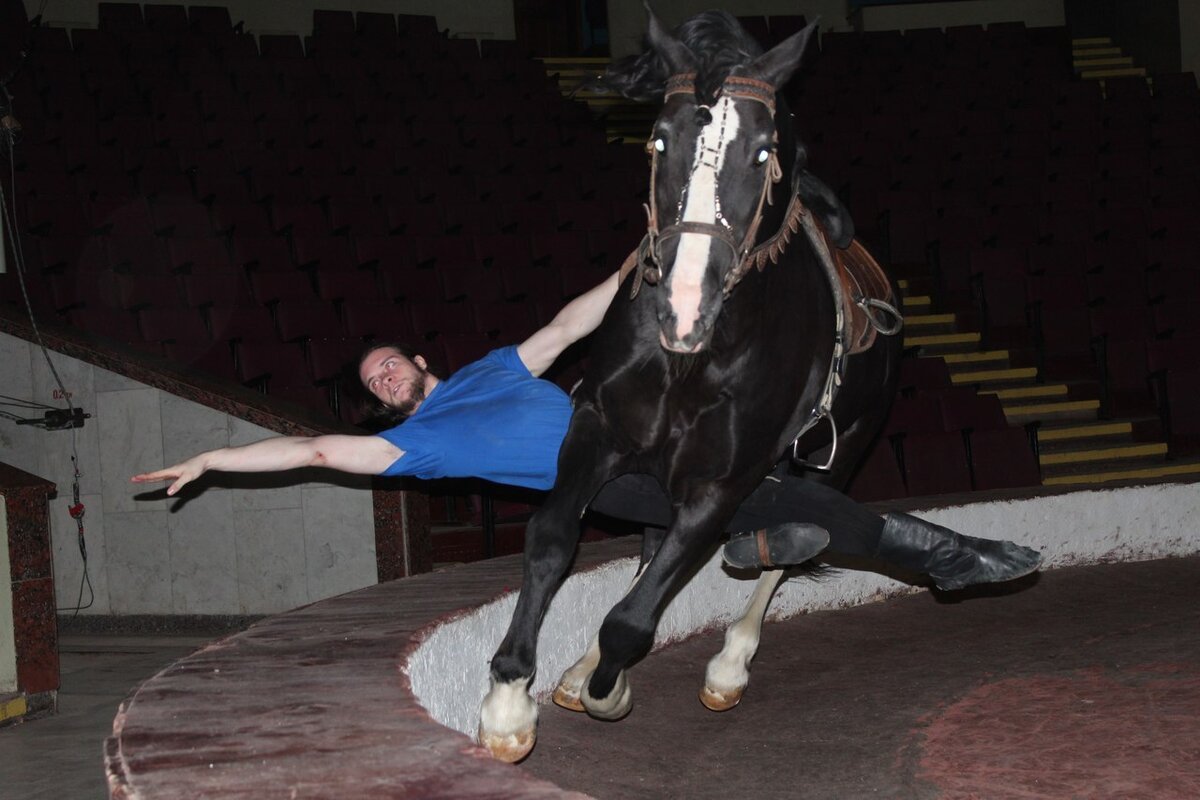 Трюк "Пролаз по животом коня"