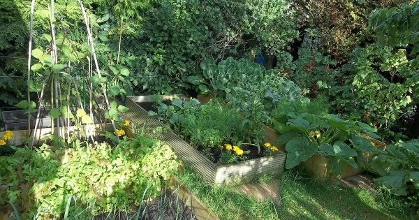 фото: pixabay.com