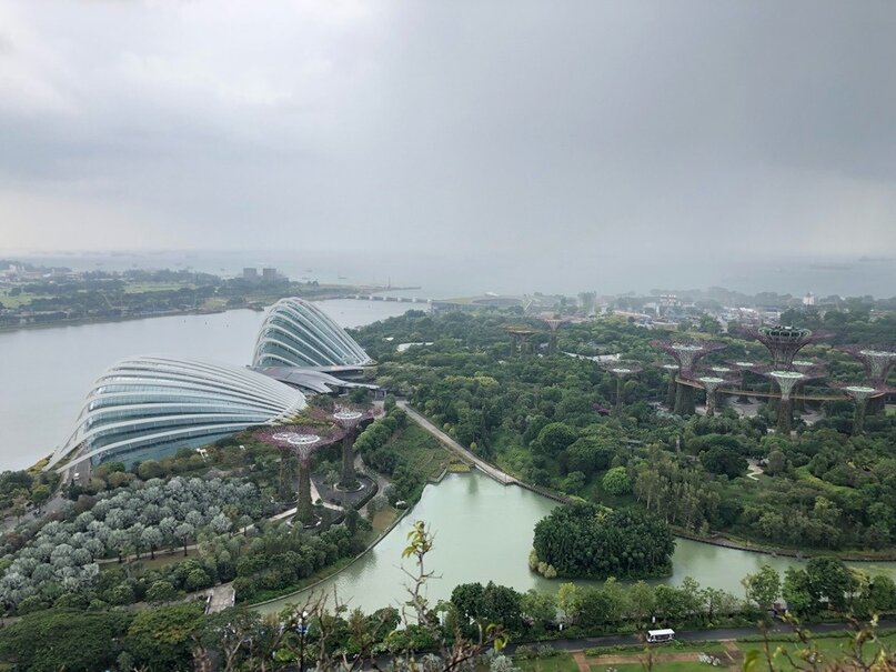                                                        Вид из номера отеля Marina Bay Sands