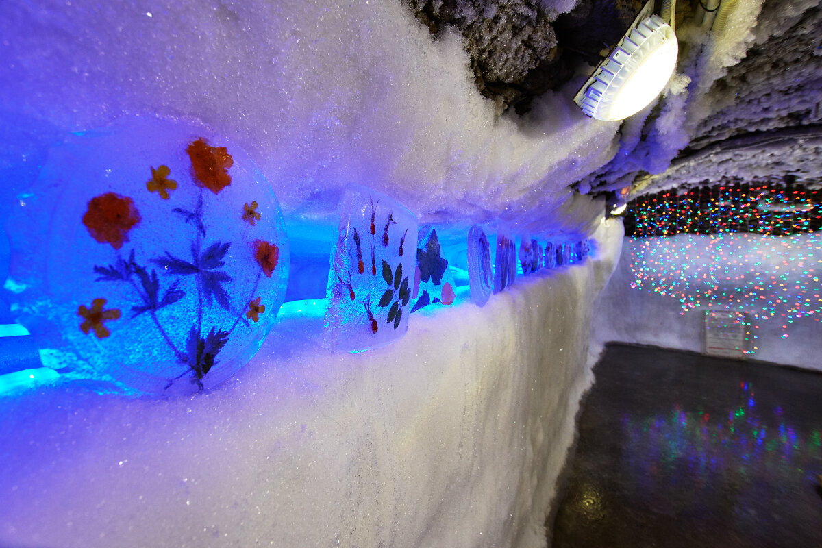 музей царство вечной мерзлоты. кусок вечной мерзлоты в торговом центре. музей вечной мерзлоты ямал. комплекс царство вечной мерзлоты в якутске. музей царство вечной мерзлоты.