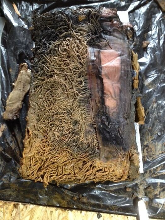 Фото из открытых источников.