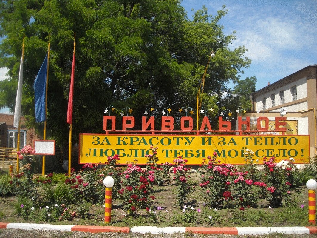 Фото из открытых источников.