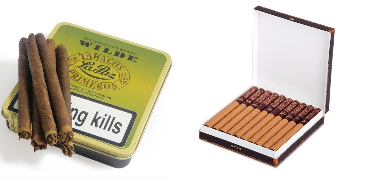 сигариллы rocks. сигариллы rocks. хава тампа сигариллы. блэкстоун сигариллы. сигариллы белл рок.