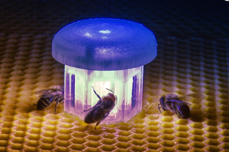Робот CASU прототип с пчелами ©Лаборатория искусственной жизни Грац