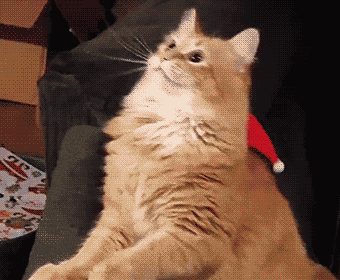 Gif из свободных источников "дополнена каналом Рыжик"