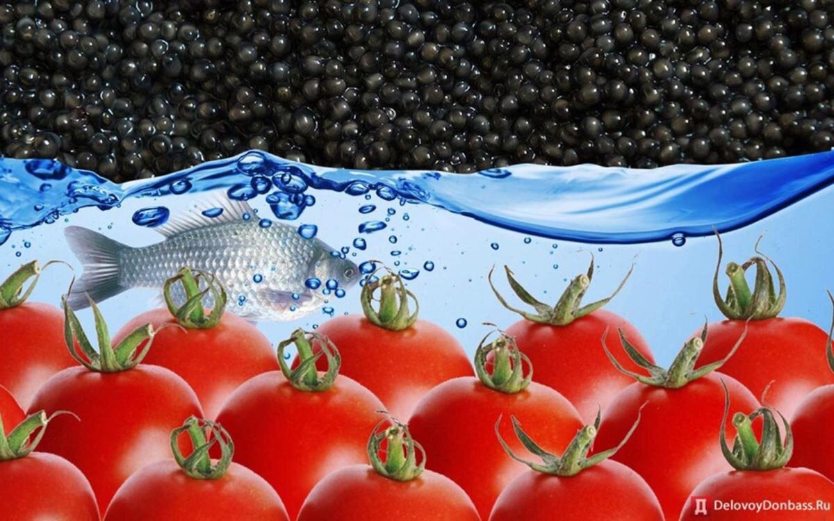 В одной из групп соцсети «Вконтакте» нам попалась интересная статья. Её автор – журналист Юрий Ковальчук. 