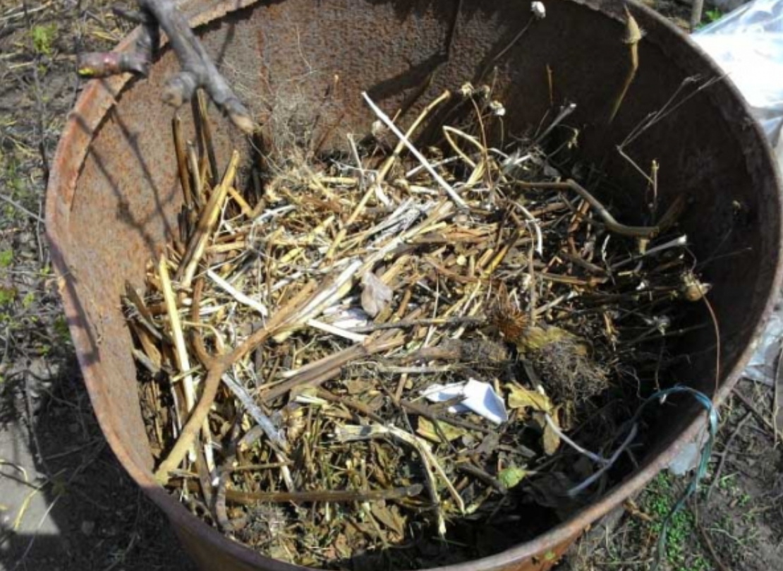 Источник фото: http://agrouchastok.ru/wp-content/uploads/2017/04/Подготовка-бочки-для-выращивания-огурцов-600x440.jpg