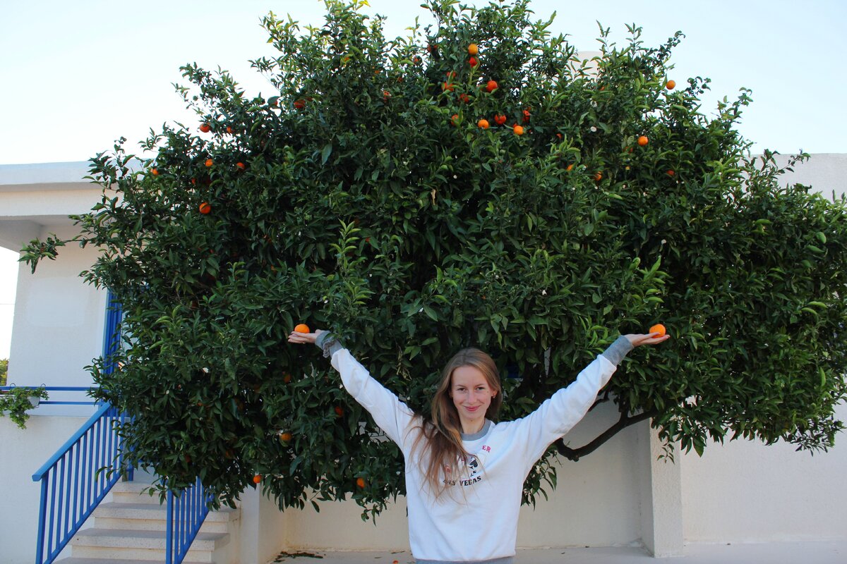                                                              На территории отеля