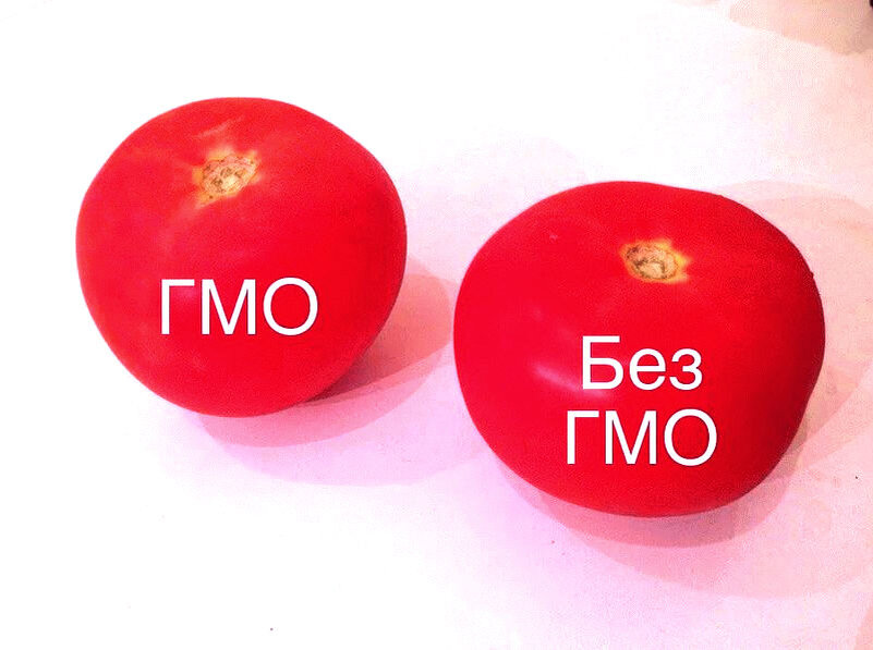 Гмо плюсы картинки