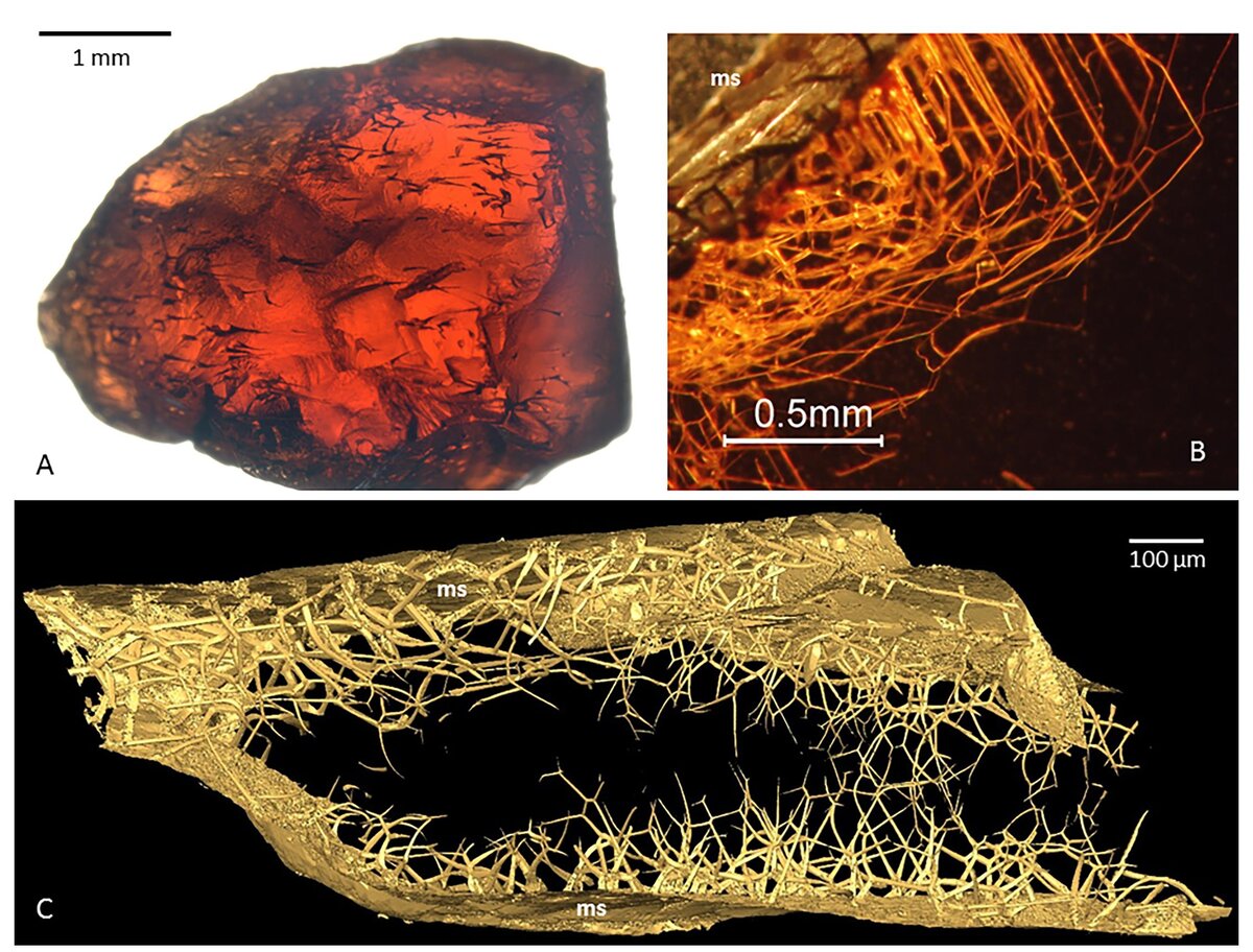 A - фотография кристалла граната с четкими трубчатыми структурами; B - трубчатые структуры, находящиеся в непосредственной близости от поверхности кристалла; С - реконструкция трубчатых структур в кристалле с помощью томографии.
