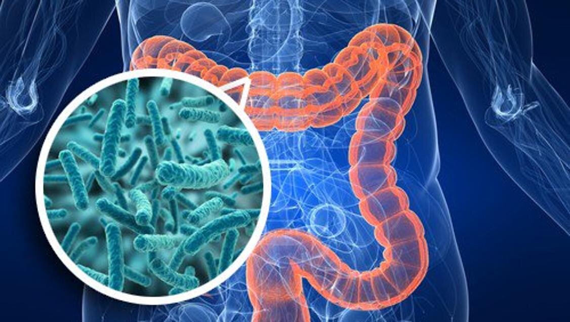 Восстановление микрофлоры кишечника, как это?