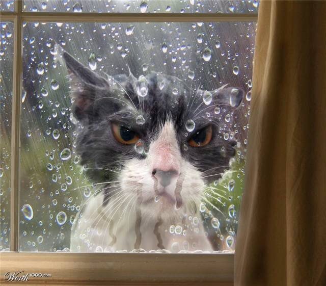 Фото из свободного доступа google.com картинки