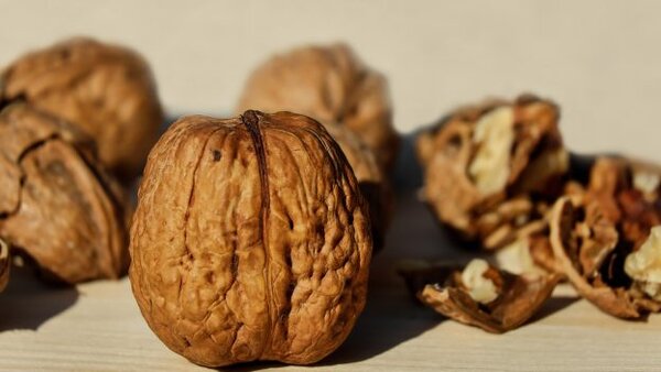 Чем могут навредить грецкие орехи?