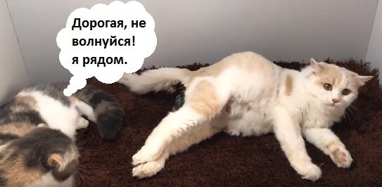 Мамочка волнуется, в глазах боль и испуг.