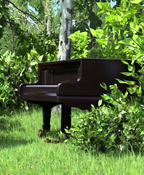 фото из интернета