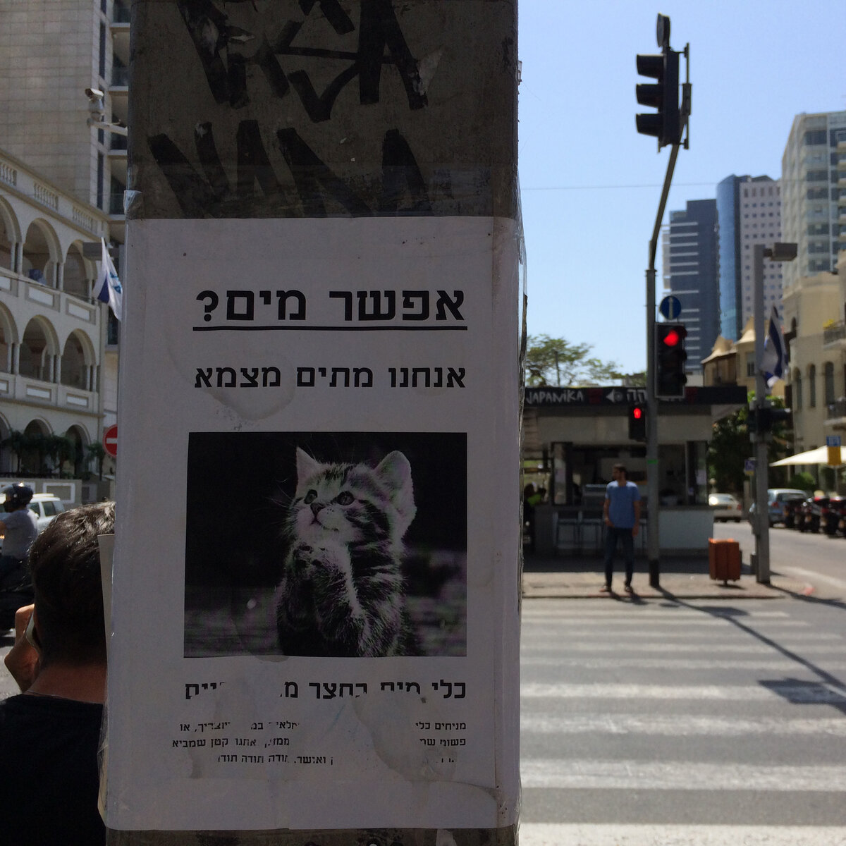 я хотел помочь котенку, который похоже попал в беду, но не смогу