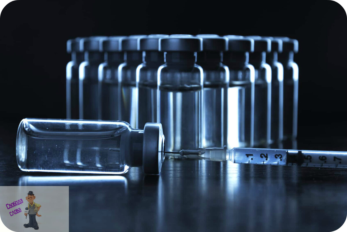 Фото взято из открытого источника