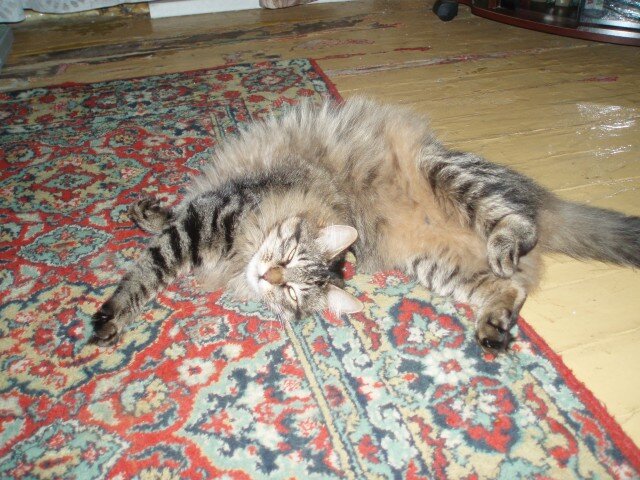 Мотик в юности.