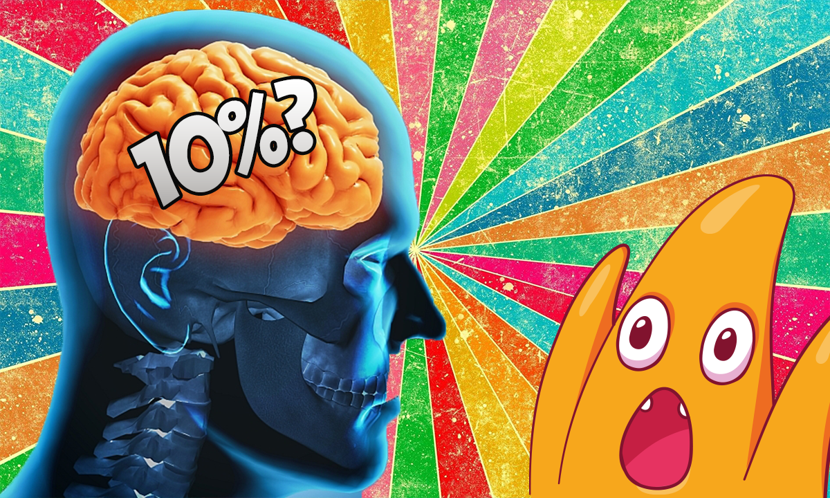 10 процентов мозга. 10% Мозга. Мозг работает на 10. Мозг на 100 процентов.