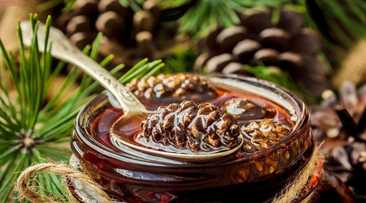 Варенье из сосновых шишек