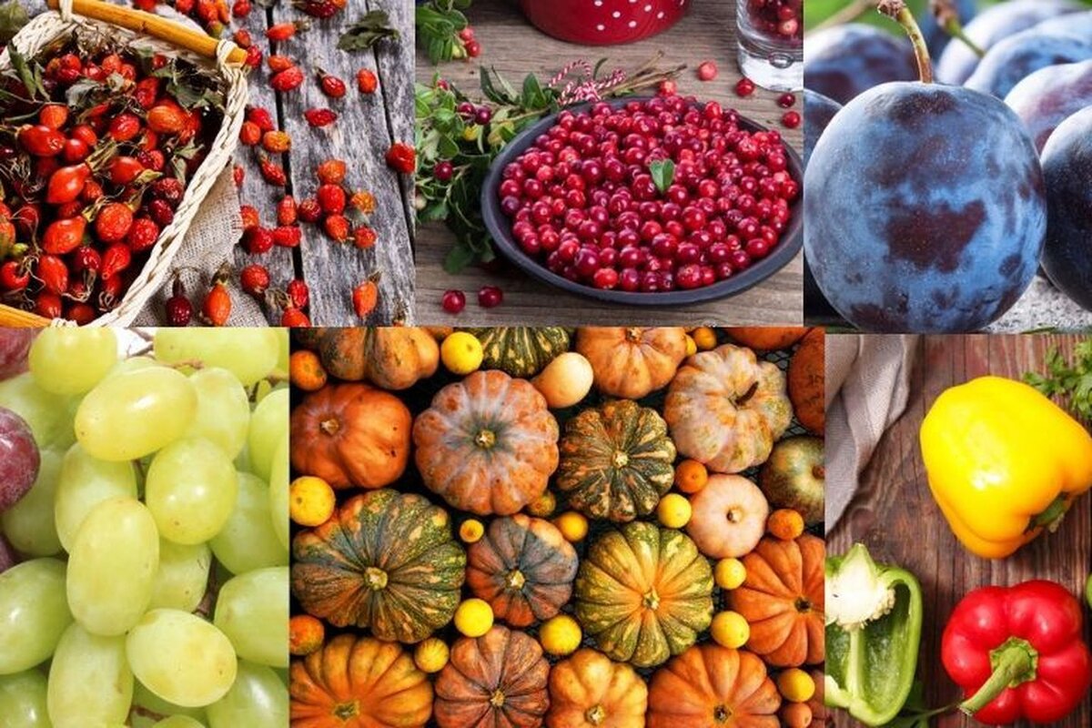 Сезонные продукты сентября: делаем покупки с пользой для здоровья и кошелька