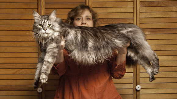 Источник: www.pet4me.ru