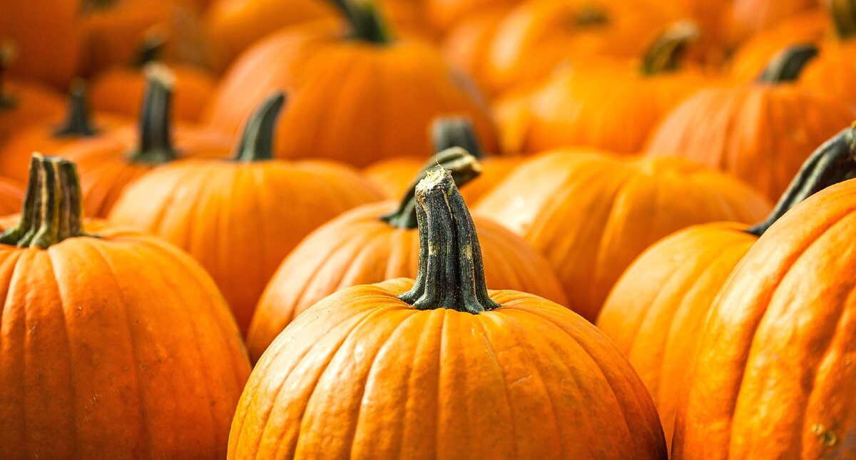 Источник: rawstory.com