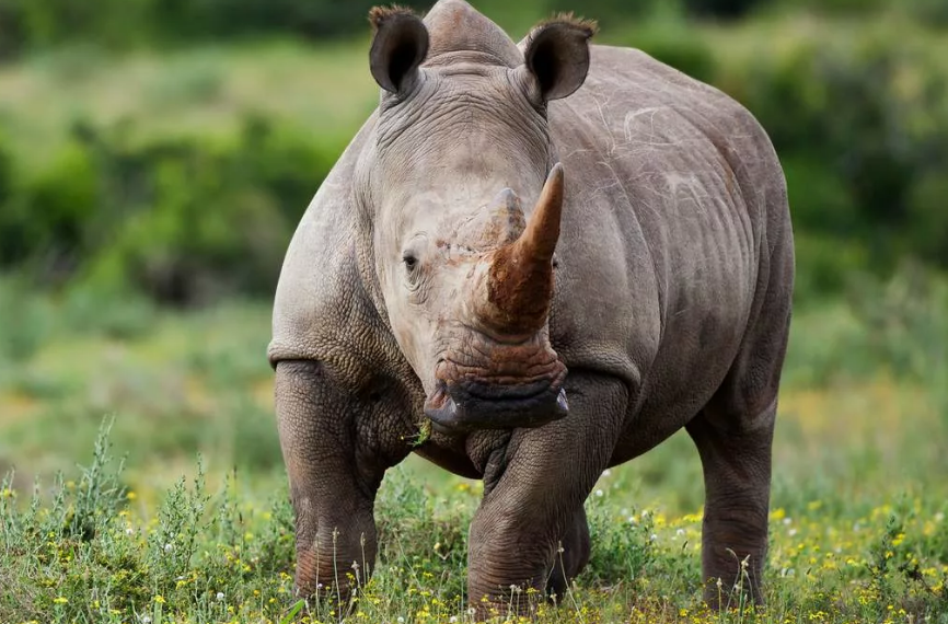 фото nastol.com.ua/download/314038/1600x1200/