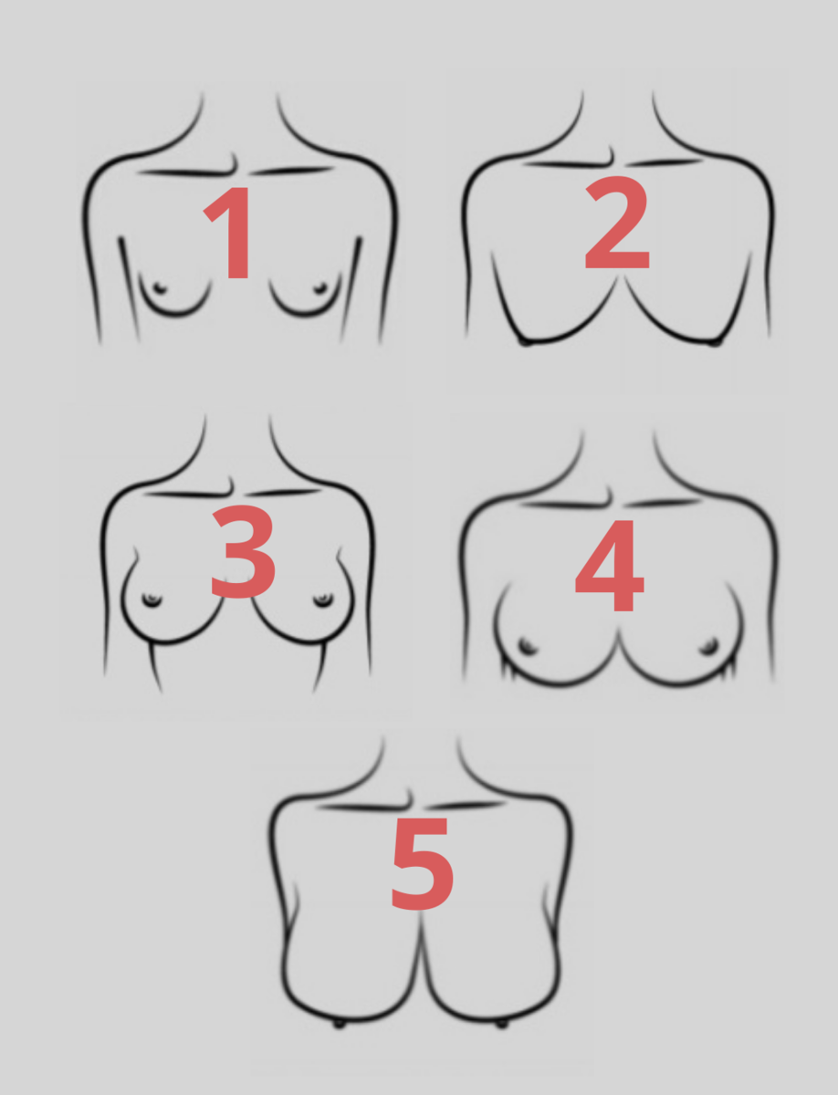 правильная форма груди у женщин фото 11