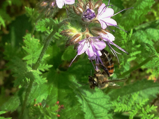 Фото из личного архива