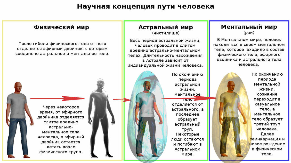 как поставить лицо на другое тело | Дзен