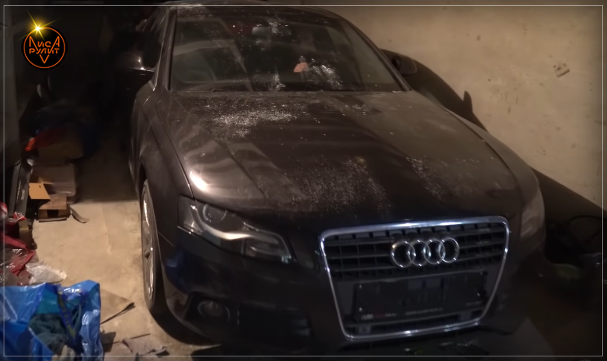 Лиса Рулит. Ауди А4 в гараже