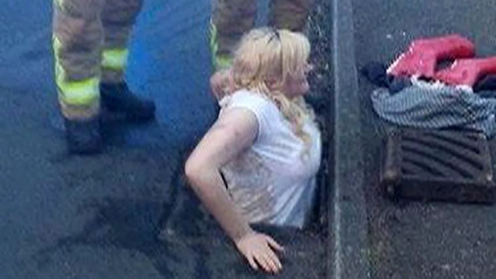 картинка из яндекса