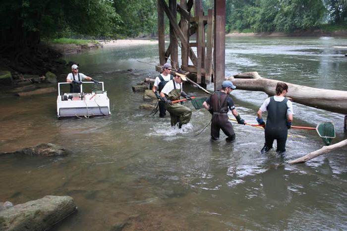 Источник Картинки Yandex.ru