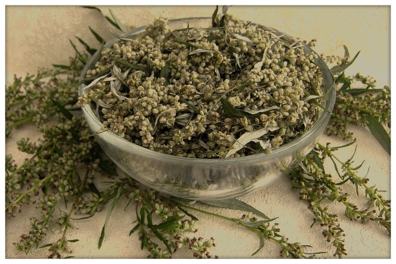 Фото взято из источника Яндекс картинки