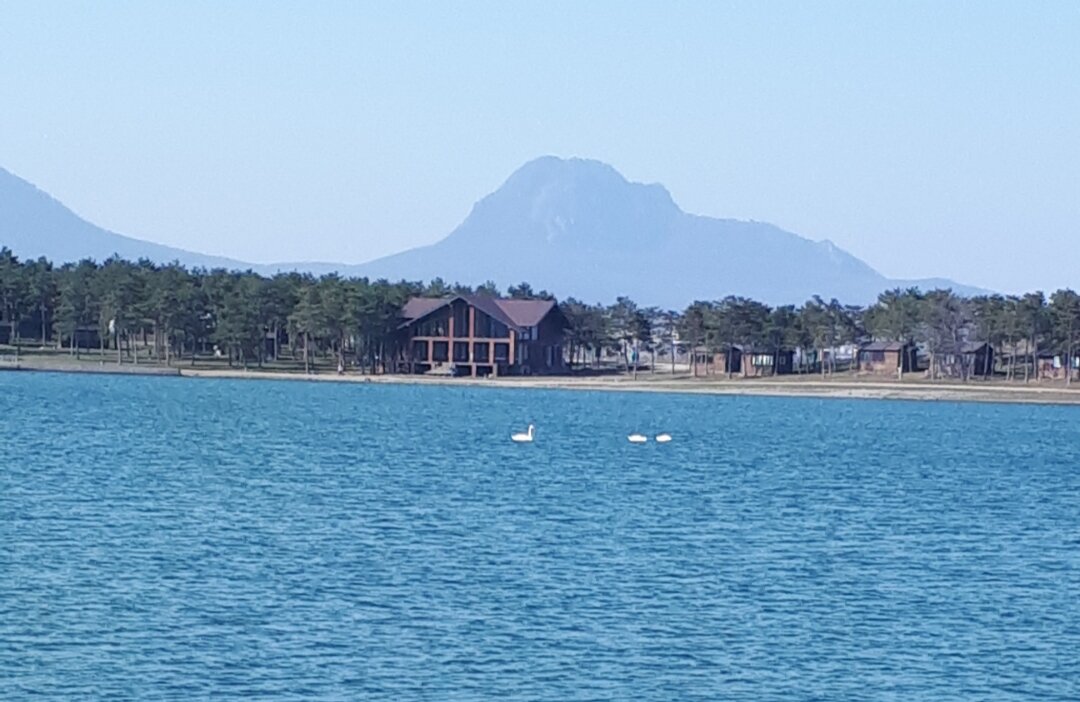 Фото из личного архива .