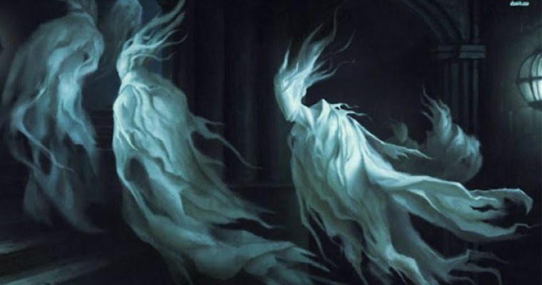 Яндекс картинки