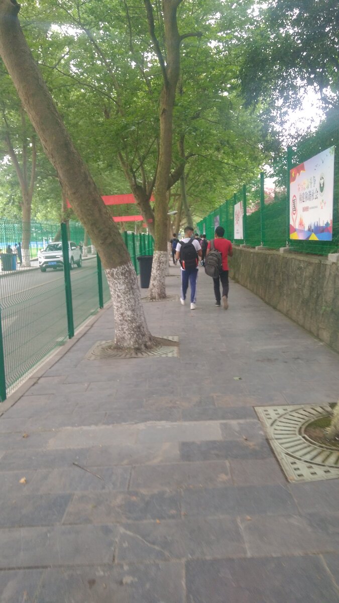 Забор по пути в общежитие.