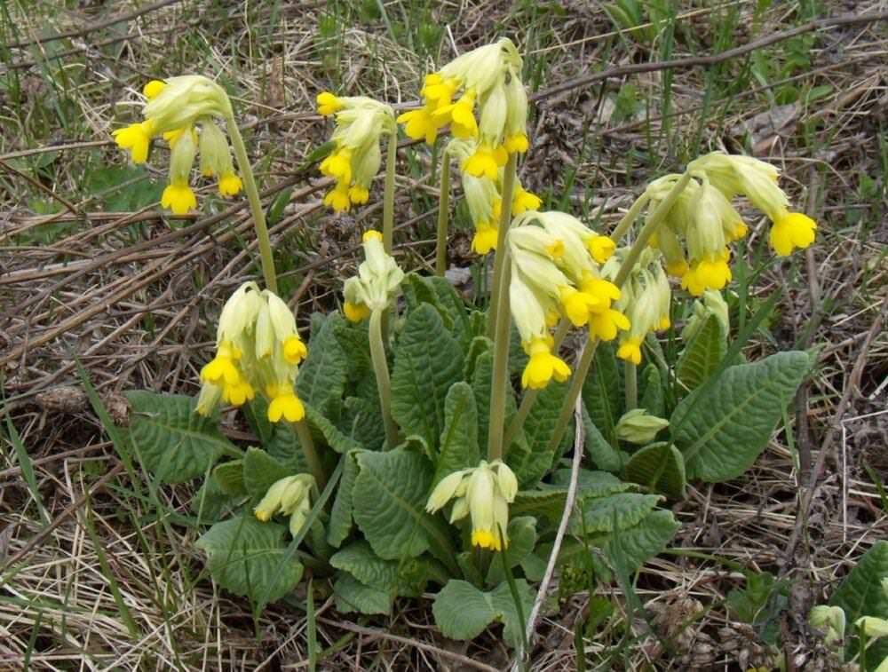 загружается...