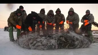 Суровые будни северного рыбака