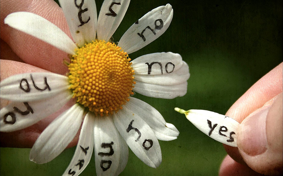 Решения принимаются так