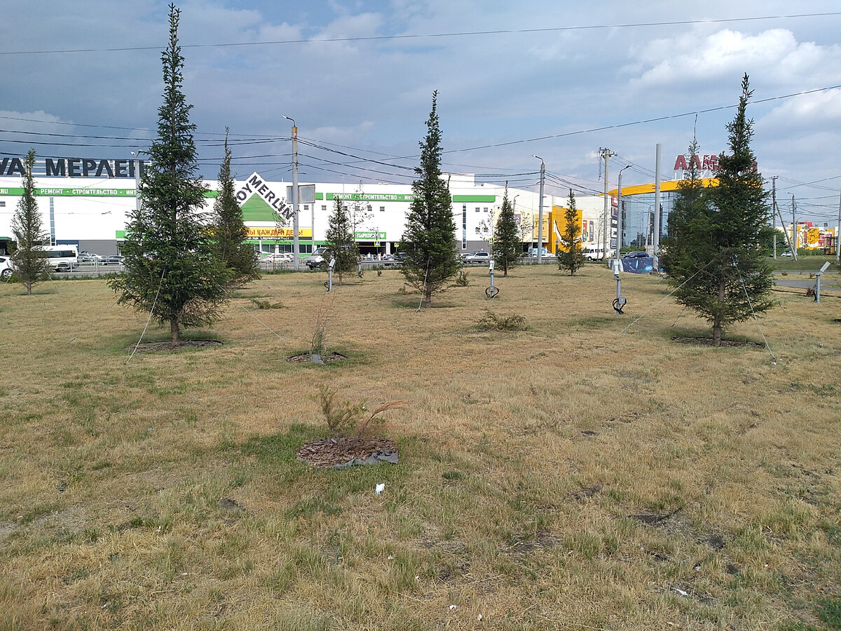 Второй год в Челябинске в разгар лета газоны сухие...
